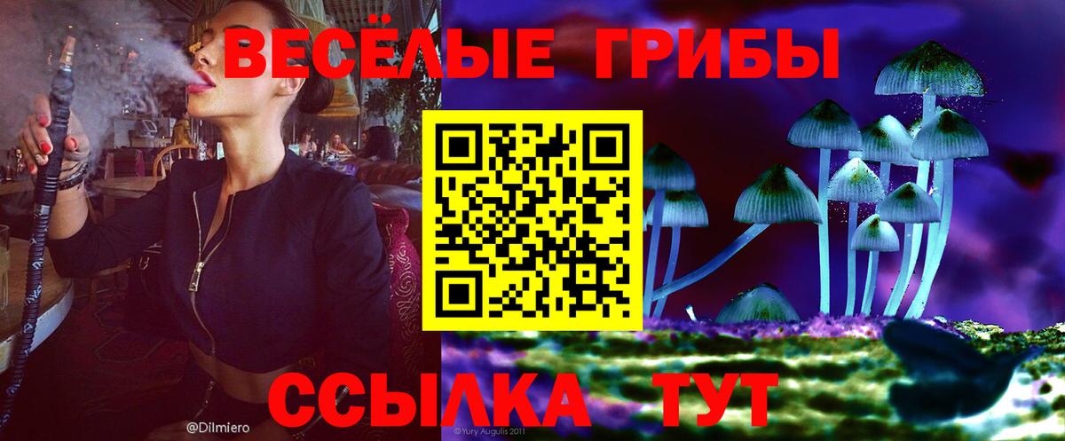 Галлюциногенные грибы Psilocybe  наркота  Мценск  Вход с VPN 